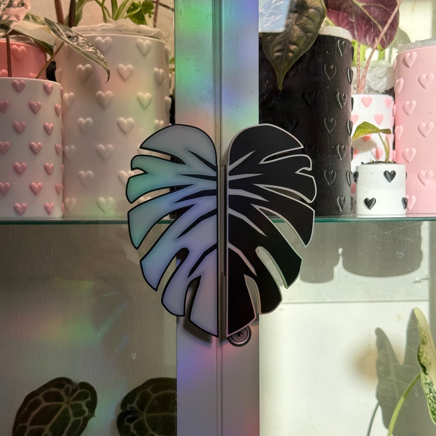 Vitrinengriffe Monstera