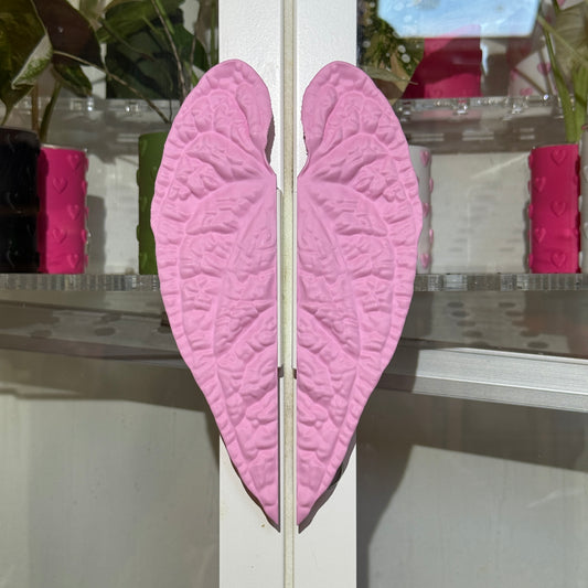 Vitrinengriffe Anthurium Luxurians