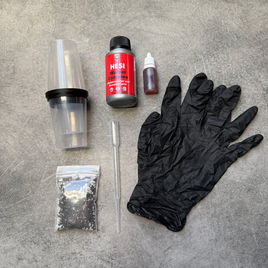 Tissue Culture Starter Set