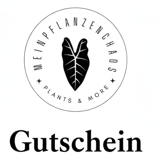 Geschenkgutschein