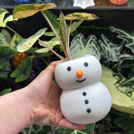 Übertopf Frosty