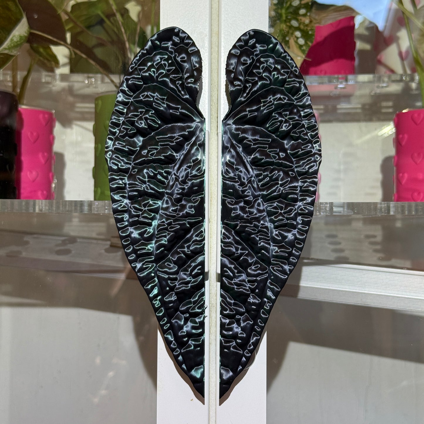 Vitrinengriffe Anthurium Luxurians