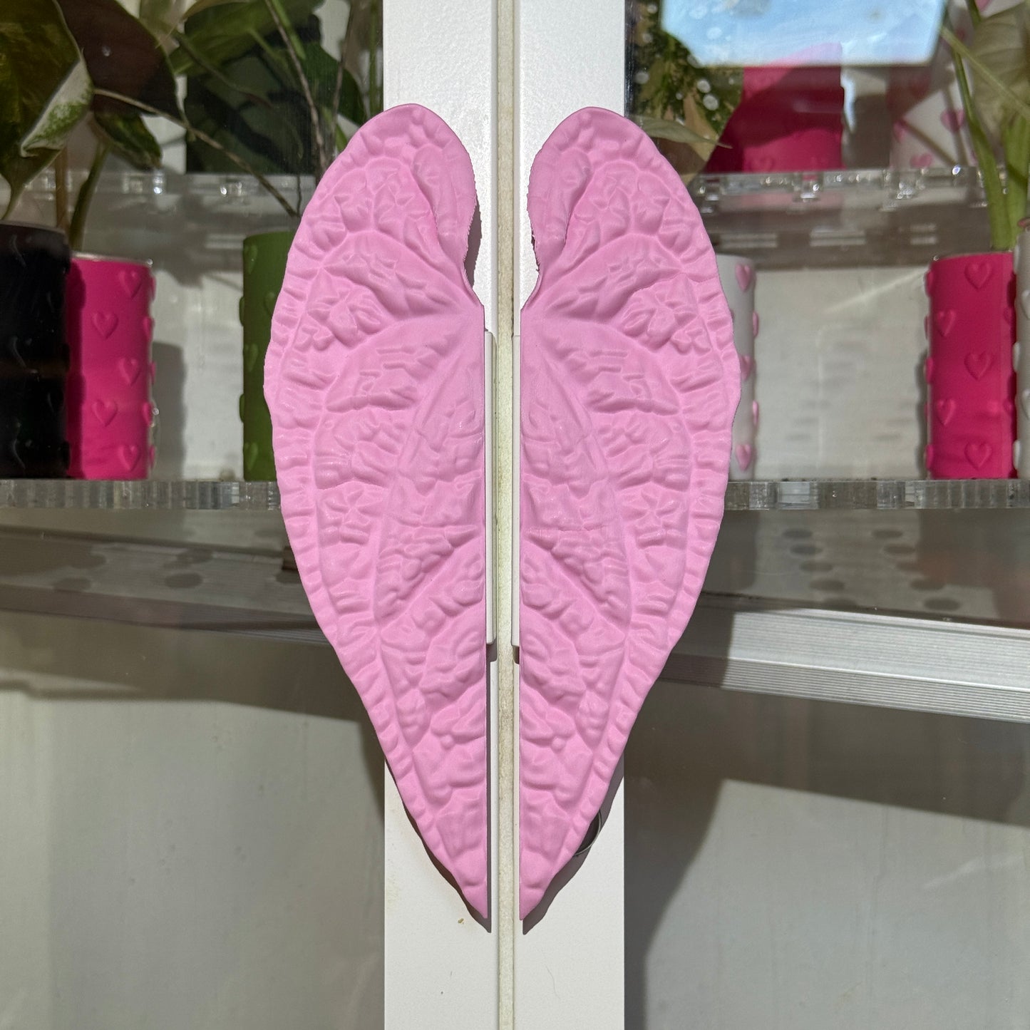 Vitrinengriffe Anthurium Luxurians